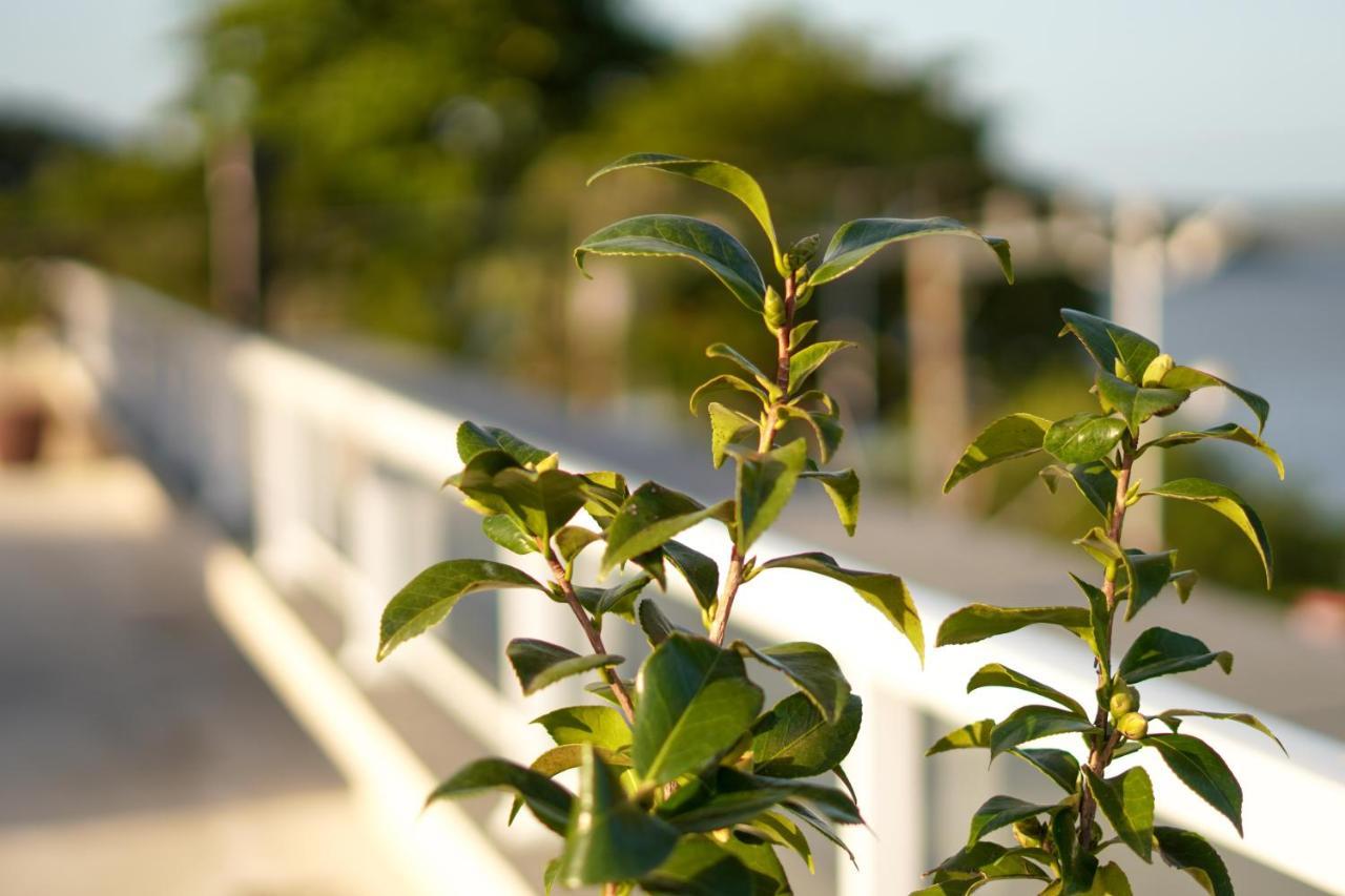 Apartment Costa Solar Lagoa *